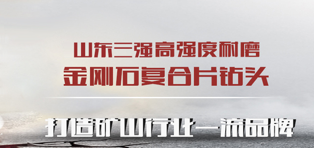 山东三强高强度耐磨